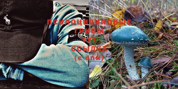 jwh Нязепетровск