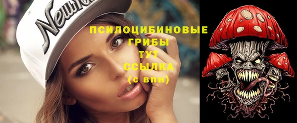 ECSTASY Осинники