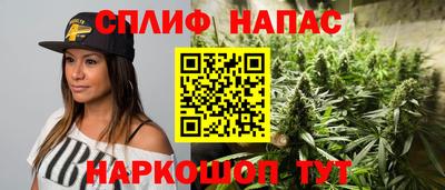 скорость Дубна
