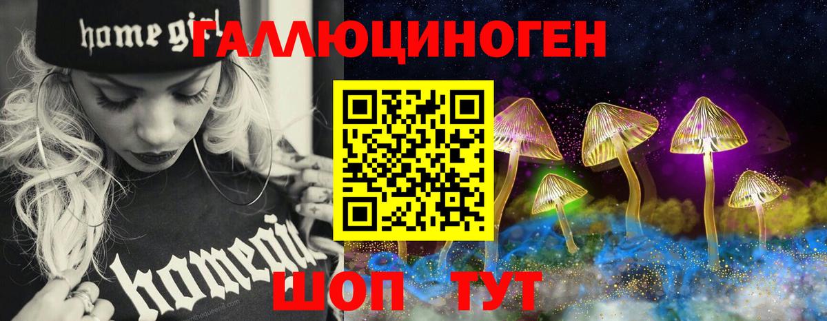 Галлюциногенные грибы Psilocybine cubensis Уварово